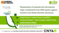 Screenshot of a presentation slide.